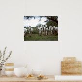 Wildlife Photography Wild Horses Poster 18x24 ポスター (キッチン)