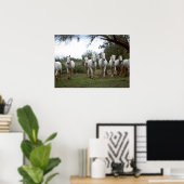 Wildlife Photography Wild Horses Poster 18x24 ポスター (ホームオフィス)