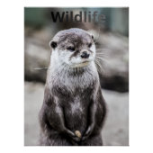 Wildlife Poster ポスター (正面)