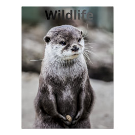 Wildlife Poster ポスター