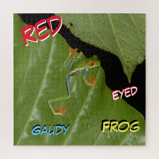 Wildlife Puzzle: Red Eyed Gaudy Frog Jigsaw Puzzle ジグソーパズル (縦)