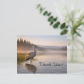 Wildlife Sandhill Crane Calm Lake Thank You ポストカード (スタンド正面)