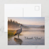 Wildlife Sandhill Crane Calm Lake Thank You ポストカード (正面/裏面)