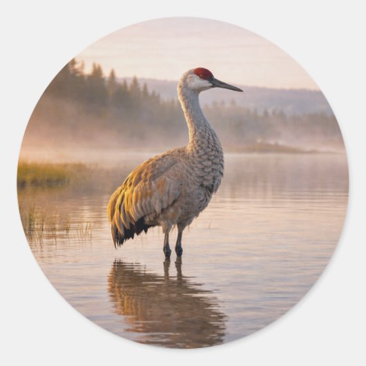 Wildlife Sandhill Crane Wetland  ラウンドシール (正面)