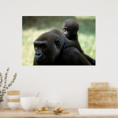 Wildlife Set - Gorilla Close-up Poster ポスター (キッチン)