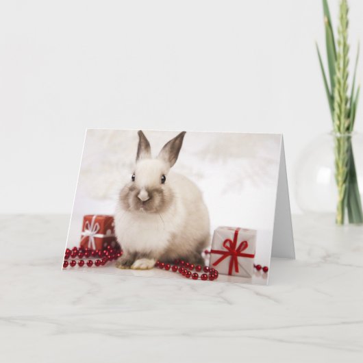 WildRescueの休日カード! シーズンカード (正面)