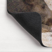 Wildschweine - Wild Hog マウスパッド (コーナー)