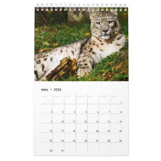 Wildtiere als Kalender カレンダー (3月 2026)