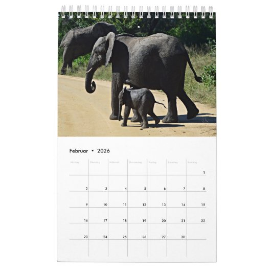 Wildtiere als Kalender カレンダー (2月 2026)