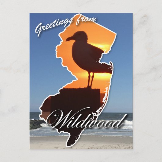 Wildwoodからの挨拶 シーズンポストカード (正面)