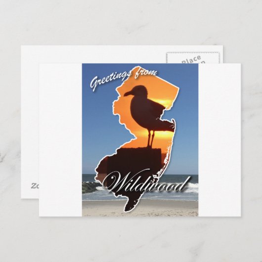 Wildwoodからの挨拶 ポストカード (正面/裏面)