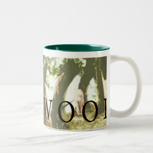 Wildwoodの退去中心のコップ#2 ツートーンマグカップ (右)