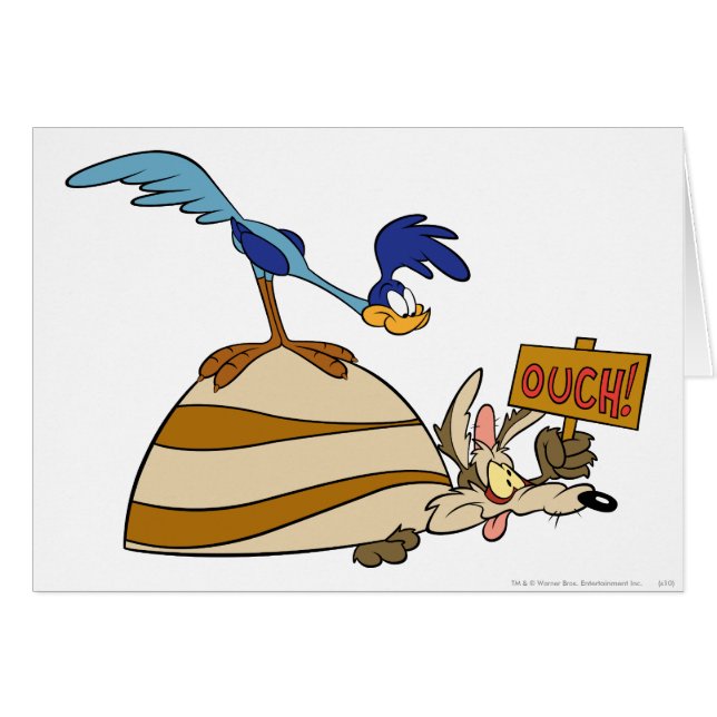 WILE E. COYOTE™とROAD RUNNER™大きい石 (正面横)