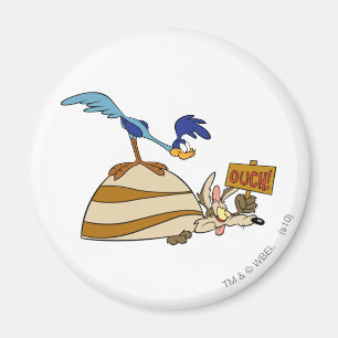 WILE E. COYOTE™とROAD RUNNER™大きい石 マグネット