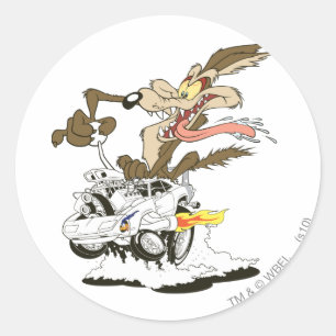WILE E. COYOTE™ドライ熱狂するバ ラウンドシール