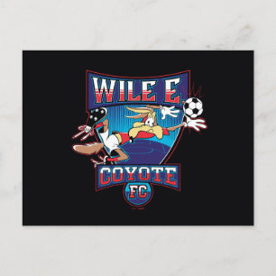 WILE E. COYOTE™ フットボールクラブ バッジ ポストカード