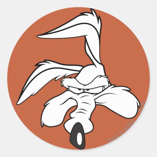 WILE E. COYOTE™ヘッドショット ラウンドシール (正面)