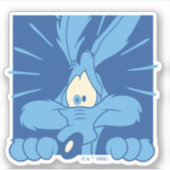 WILE E. COYOTE™ 衝撃の表情 シール (正面)