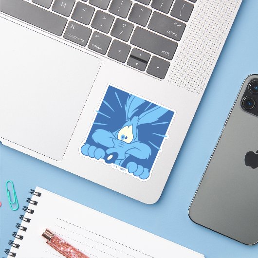 WILE E. COYOTE™ 衝撃の表情 シール (ノートパソコンとiPhone)