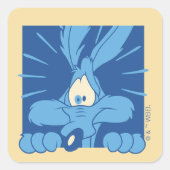 WILE E. COYOTE™ 衝撃の表情 スクエアシール (正面)