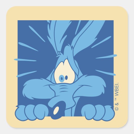 WILE E. COYOTE™ 衝撃の表情 スクエアシール (正面)