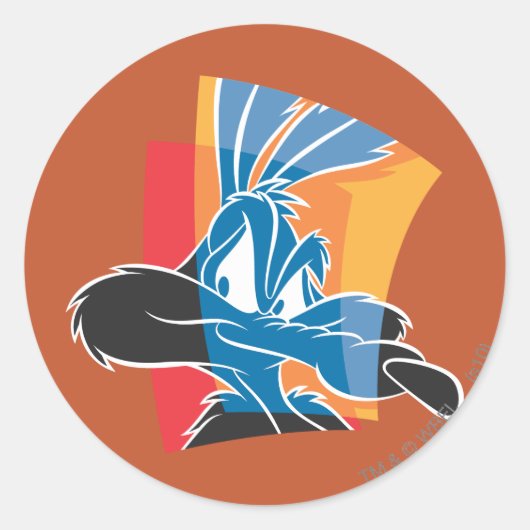WILE E. COYOTE™表現力22 ラウンドシール (正面)