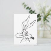 WILE E. COYOTE™表現力7 ポストカード (スタンド正面)