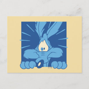 WILE E. COYOTE™ 驚きの表情 ポストカード