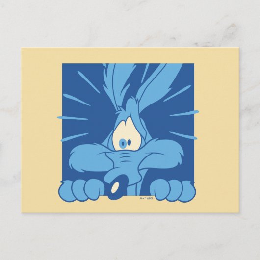 WILE E. COYOTE™ 驚きの表情 ポストカード (正面)