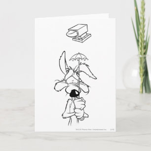 WILE E. COYOTE™ Acme製品 カード
