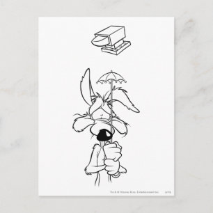 WILE E. COYOTE™ Acme製品 ポストカード