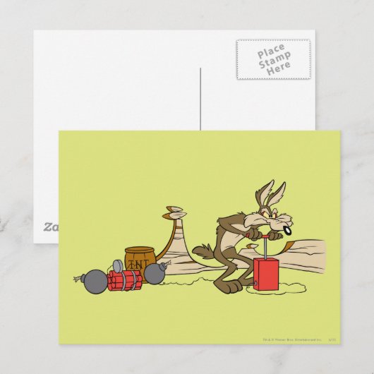 WILE E. COYOTE™ ACME TNT ポストカード (正面/裏面)