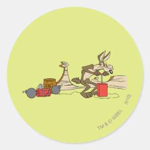 WILE E. COYOTE™ ACME TNT ラウンドシール