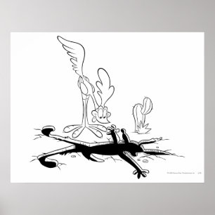 Wile E Coyote and ROAD RUNNER™ Acme Products 3 ポスター