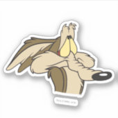 WILE E. COYOTE™ Impending Doom シール (正面)