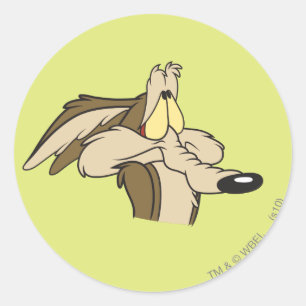 WILE E. COYOTE™ Impending Doom ラウンドシール