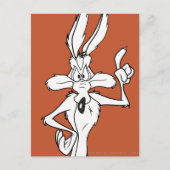 WILE E. COYOTE™ Making a Point ポストカード (正面)