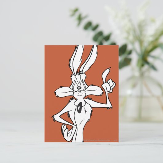WILE E. COYOTE™ Making a Point ポストカード (スタンド正面)