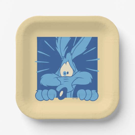 WILE E. COYOTE™ Shocked Expression ペーパープレート (正面)