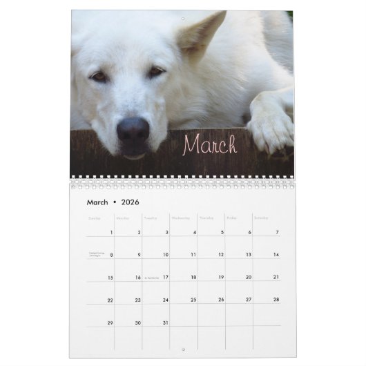 Wileyカレンダー カレンダー (3月 2026)