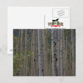 Will Bの無料署名のはがき ポストカード (正面/裏面)