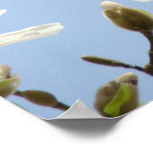 Will You be mine forever and ever! prints Magnolia ポスター (角)