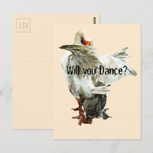 Will you Dance? ポストカード (正面/裏面)