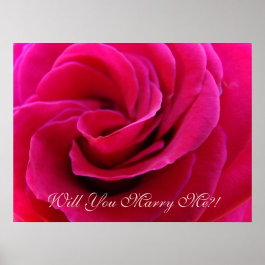 Will You Marry Me?! ピンクのバラのアートプリント 結婚式 ポスター (正面)