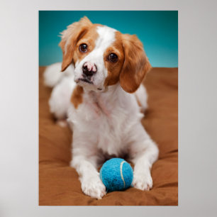 Will you play ball with me? ポスター