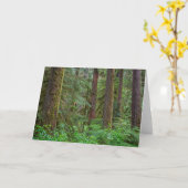 Willamette National Forest | Oregon カード (黄色い花)