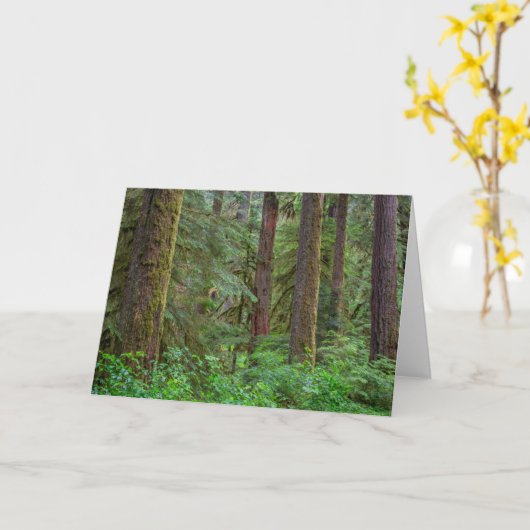 Willamette National Forest | Oregon カード (黄色い花)