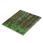 Willamette National Forest | Oregon タイル (側面)