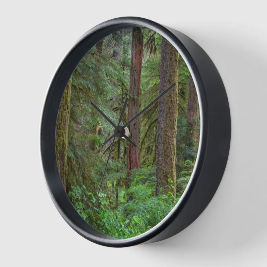 Willamette National Forest | Oregon 壁時計 (傾斜)