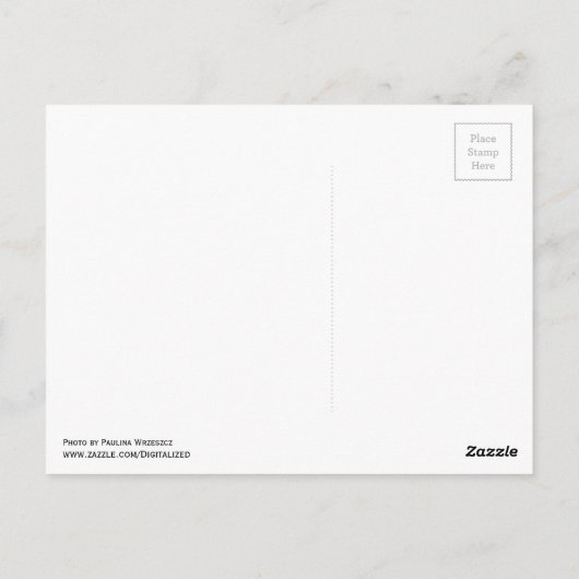 Willemstad、Curaçao ポストカード (裏面)